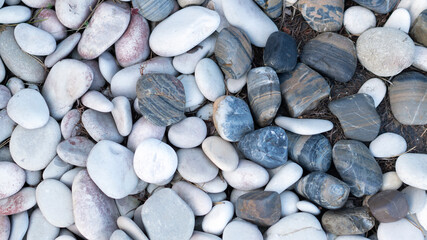 Multicolored sea stones. Abstract background texture. White blue and grey striped sea pebbles. Stone texture for background and wallpaper. Top view. Selective focus.