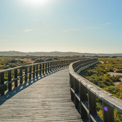 Hiking trail along the ocean coast at sunset