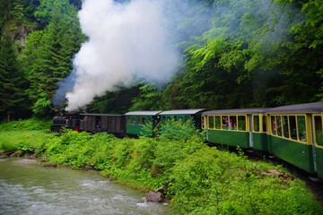 Mocanita touristic train - The last forestry steam working train in Europe - Romania, Maramures - obrazy, fototapety, plakaty