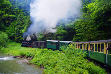 Mocanita touristic train - The last forestry steam working train in Europe - Romania, Maramures - obrazy, fototapety, plakaty