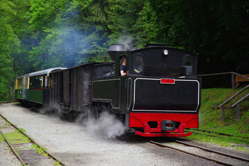 Obraz premium Mocanita touristic train - The last forestry steam working train in Europe - Romania, Maramures