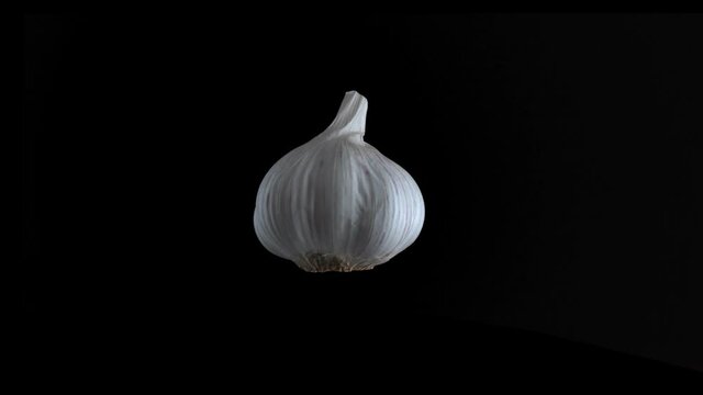 Garlic isolated