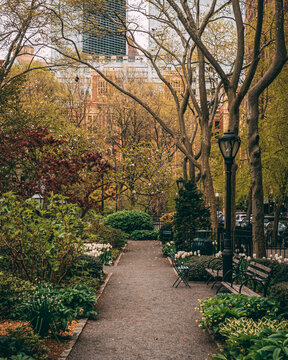 A Path With Trees And Benches, Tudor City, Manhattan, New York