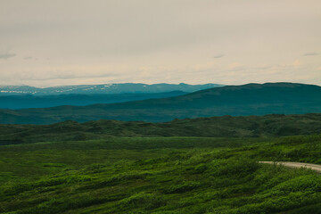 Fototapeta na wymiar Denali National Park and Preserve, ALASKA