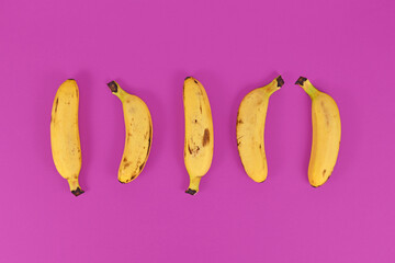 Five small snack bananas in a row on bright purple background