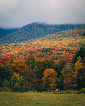 Autumn color in the Catskill Mountains, New York