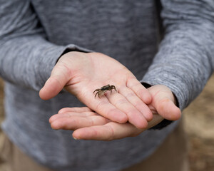 crab in hands