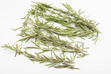 rosemary on white background