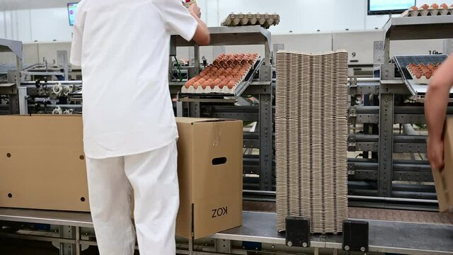 Woman working in egg factory