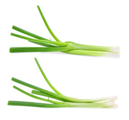 Green onion isolated on white background