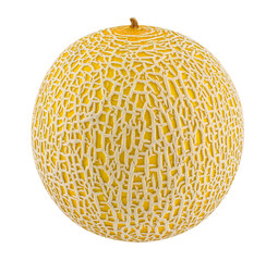 cantaloupe melon isolated on white