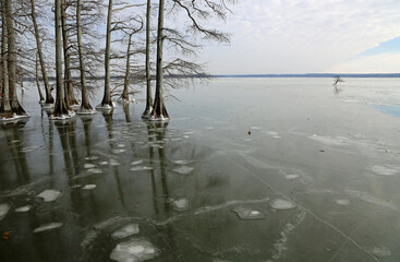 Landscape on frozen lake - Reelfoot Lake State Park, Tennessee