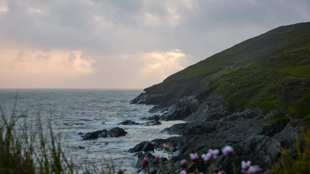 A dramatic sunset evening time lapse overlooking ocean rocks in Croyde, Devon, UK. Small pink flowers wave in the breeze as the sun moves behind the cliff over the clam sea. Very low cloud obscures.