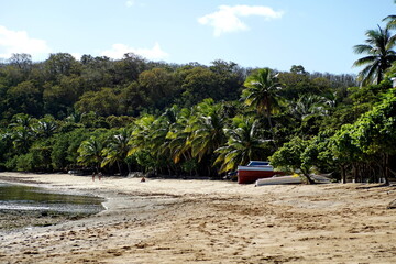 Resort on the beach, at the edge of the jungle, on an island in Fiji