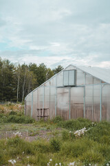 Greenhouse 