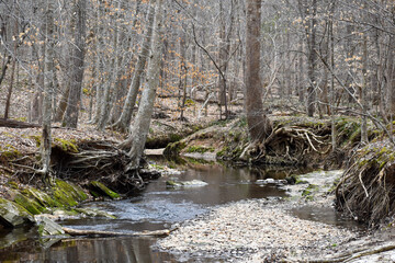 Gentle Stream