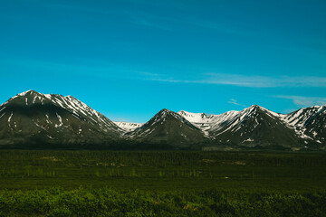 Naklejka premium Denali State Park, Alaska summer 