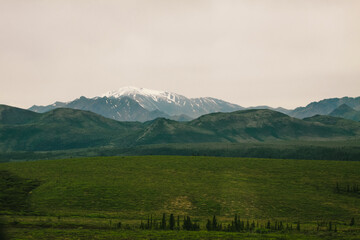 Fototapeta na wymiar Denali State Park, Alaska summer