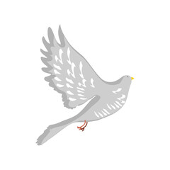 flying dove bird