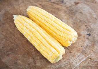 Two stripped tender corn cobs
