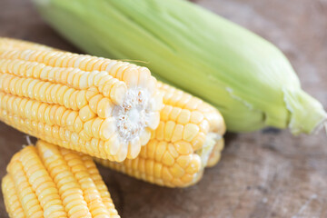 Harvest fresh tender corn on the cob