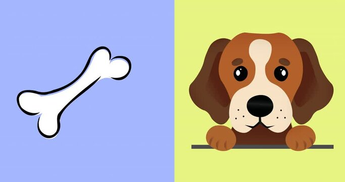 Animation of cute pet dog and bone on yellow and lilac backgrounds