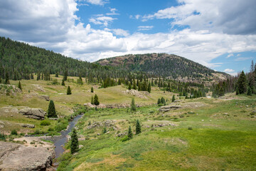Landscape in the mountains of Colorado with a small stream running through a clearing.