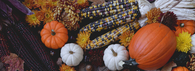 Autumn pumpkings, gourds and corn web banner