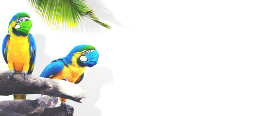Macaw parrot with medical mask on vacation