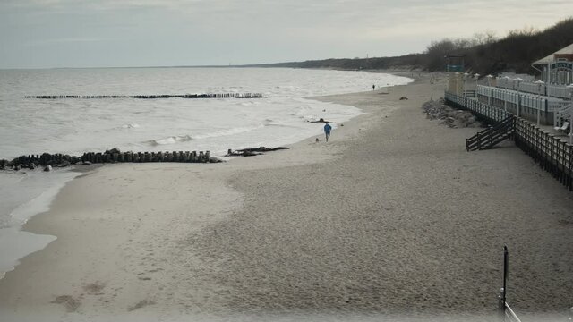 Long shot of owner man running with his pet dog while exercising on beach.