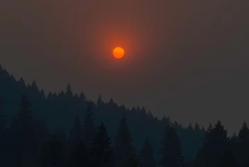 Smokey Sunsets  © kris