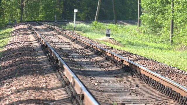 rounding of the railway in the forest. Rail journey squirm like a snake in the woods. Empty rounding and turning single track of railways. 
