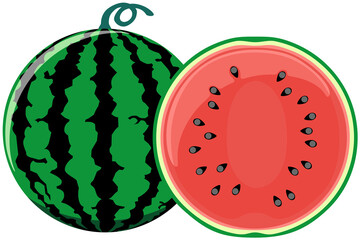 スイカのイラスト（断面あり）