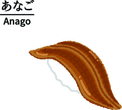 4 507 最適な アナゴ 画像 ストック写真 ベクター Adobe Stock