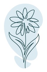 Flower in blossom with leaves and petals line art
