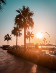 Golden hour picture of the Dubai beach with large ferris wheel and palm tree silhouettes at sunset, teal and orange tones creating tropical mood - obrazy, fototapety, plakaty