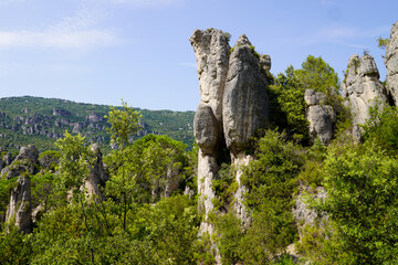 dolomites of Moureze in the Hérault with rock peaks of different sizes in forest french