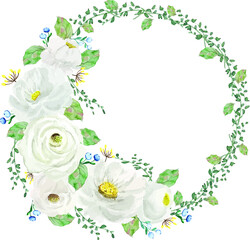 White roses flower with green leaves wreath - watercolor hand draw vector background