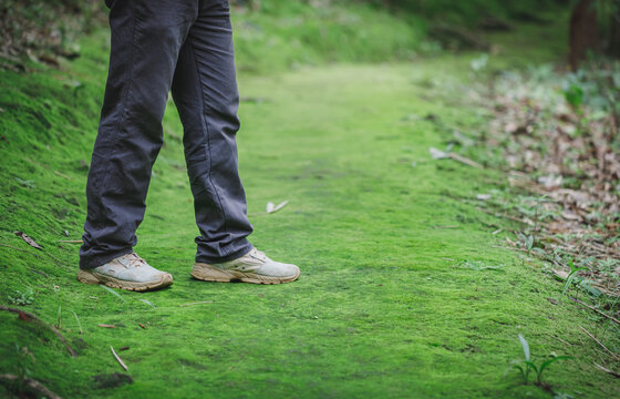 Hikers boots walking on moss in forest trail. Travel, Sports,Lifestyle Concept.