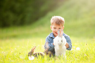 little boy with rabbits on a sunny lawn