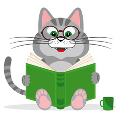 The cat is reading a book. Vector illustration on a white isolated background.