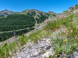 Fototapeta na wymiar Paysage de montagne dans les Alpes du Sud en France