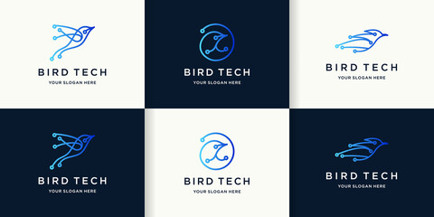bird tech logo with circular circuit concept
