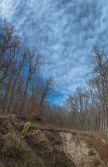 Bare trees stand against the background of a blue sky with clouds. View from the ravine