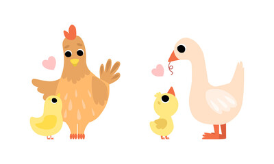 Cute Little Baby Birds and Their Moms Set, Adorable Hen and Goose Poulrty Cartoon Vector Illustration