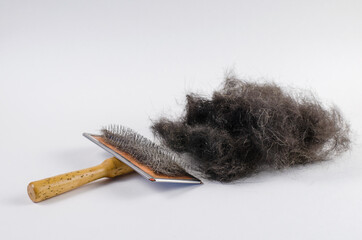 Pet brush and black dog hair on a white background. Special comb