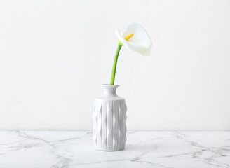 Vase with beautiful calla lily on light background