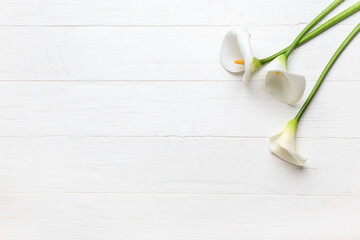 Beautiful calla lilies on light wooden background - obrazy, fototapety, plakaty