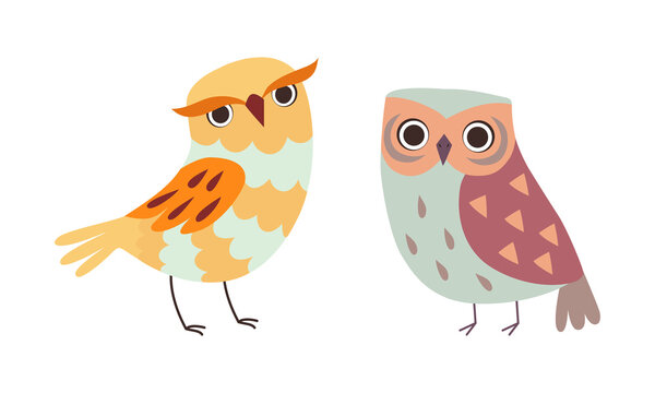 Cute Wise Owls Set, Funny Colorful Owlets Cartoon Vector Illustration