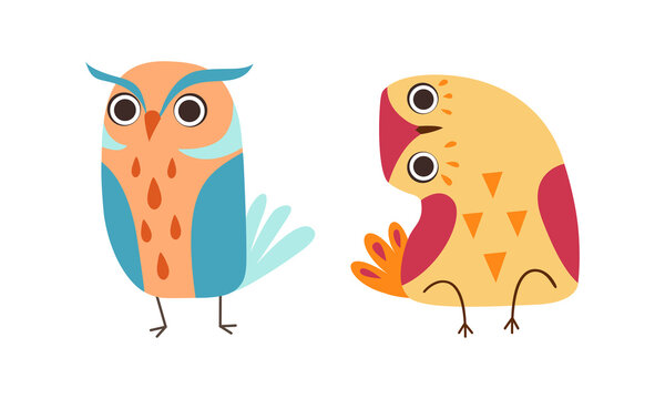 Cute Colorful Owls Set, Front View of Adorable Owlets Cartoon Vector Illustration